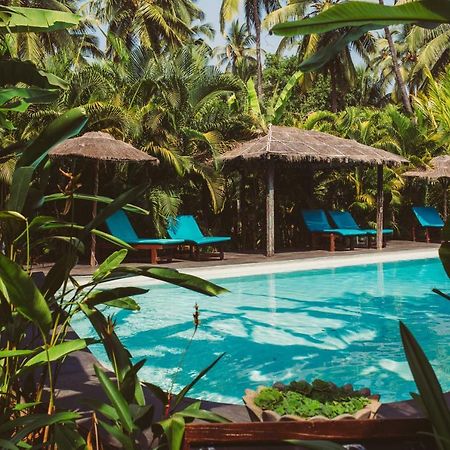 Devarya Wellness Beach Resort 모르짐 외부 사진