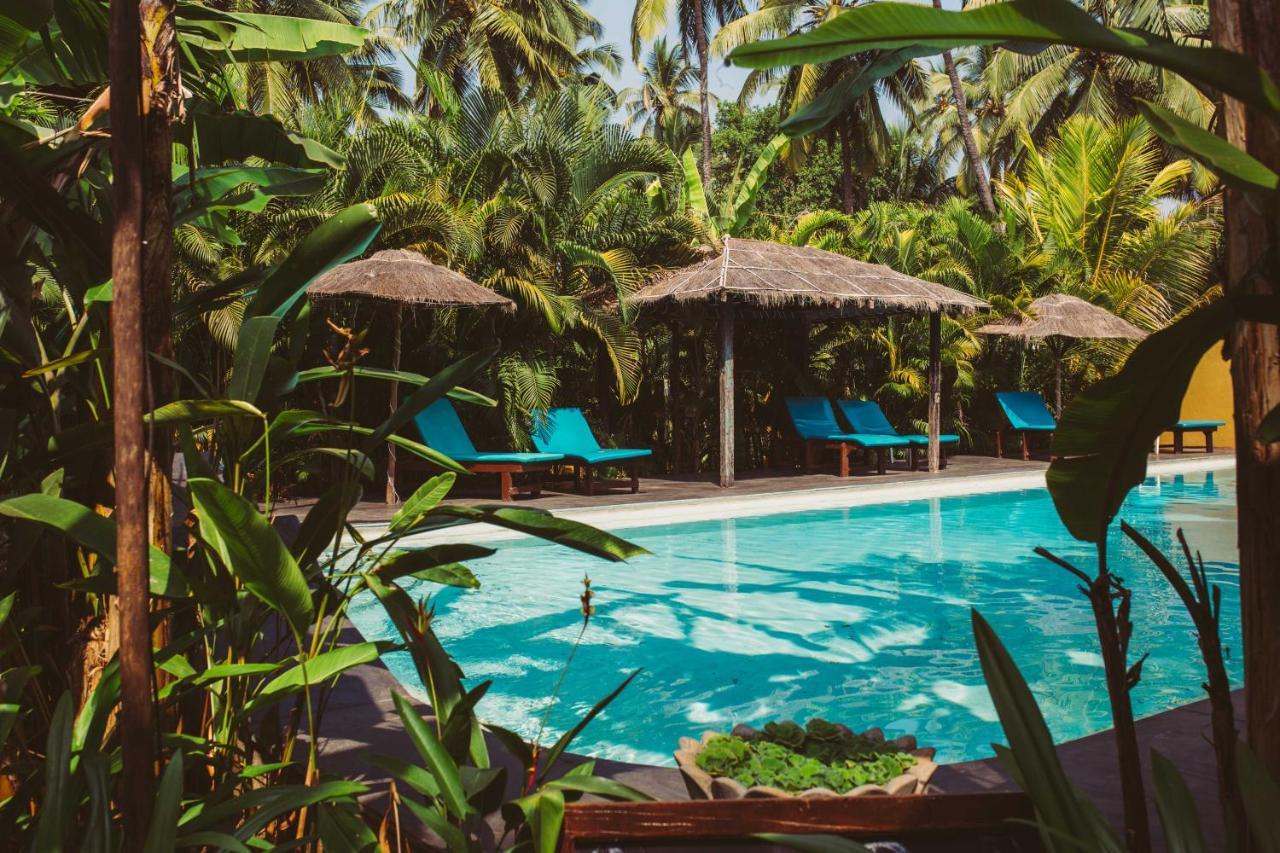 Devarya Wellness Beach Resort 모르짐 외부 사진