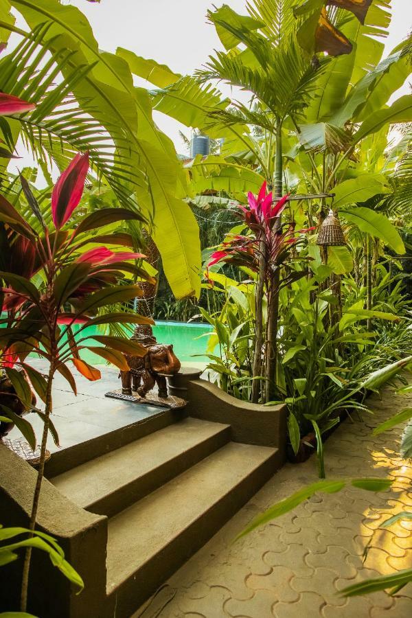 Devarya Wellness Beach Resort 모르짐 외부 사진