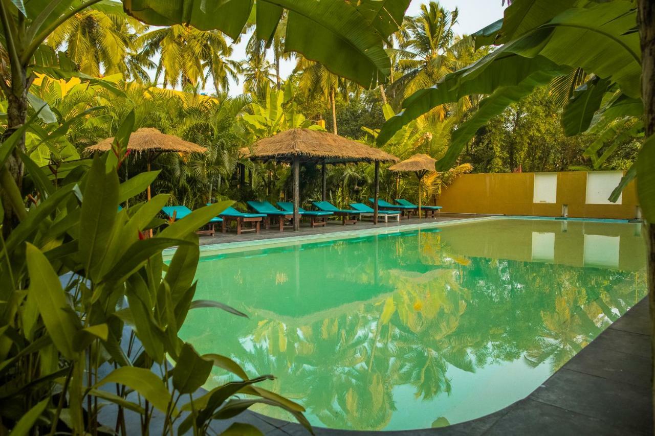 Devarya Wellness Beach Resort 모르짐 외부 사진